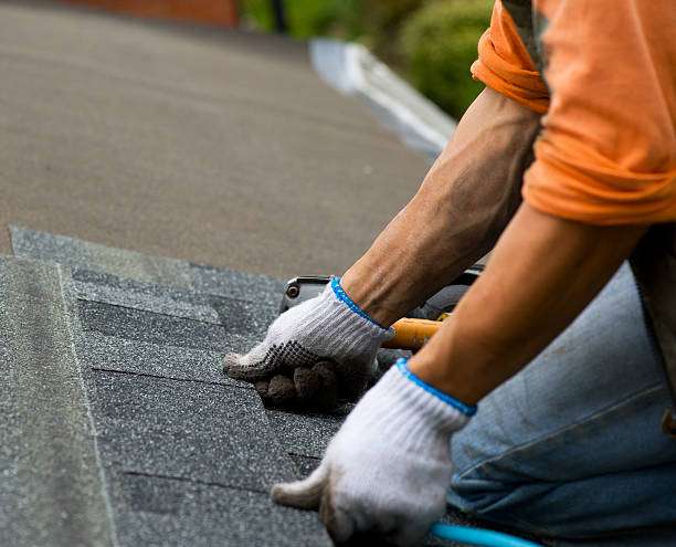 Best Flat Roof Repair Services  in Lake Isabella, MI